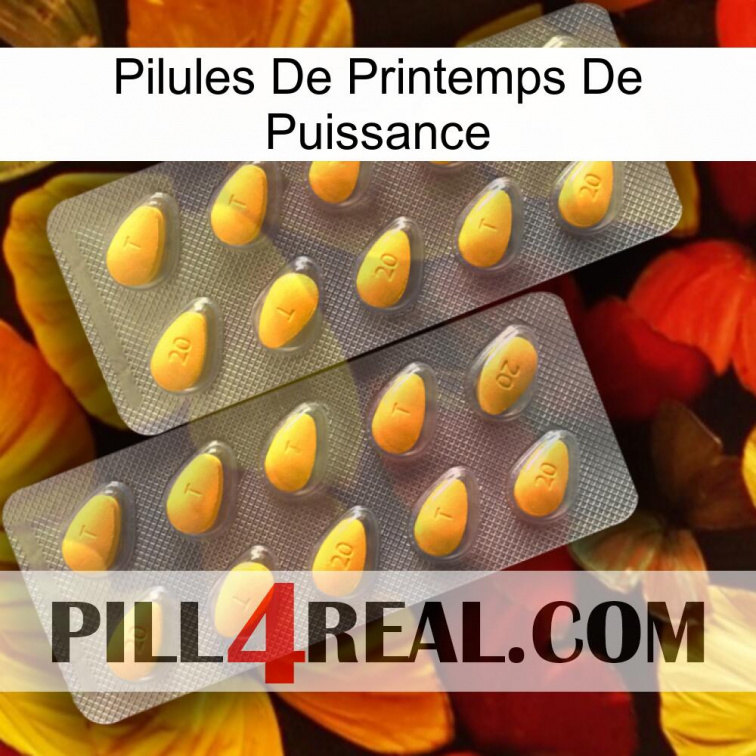 Power Spring Pills cialis2